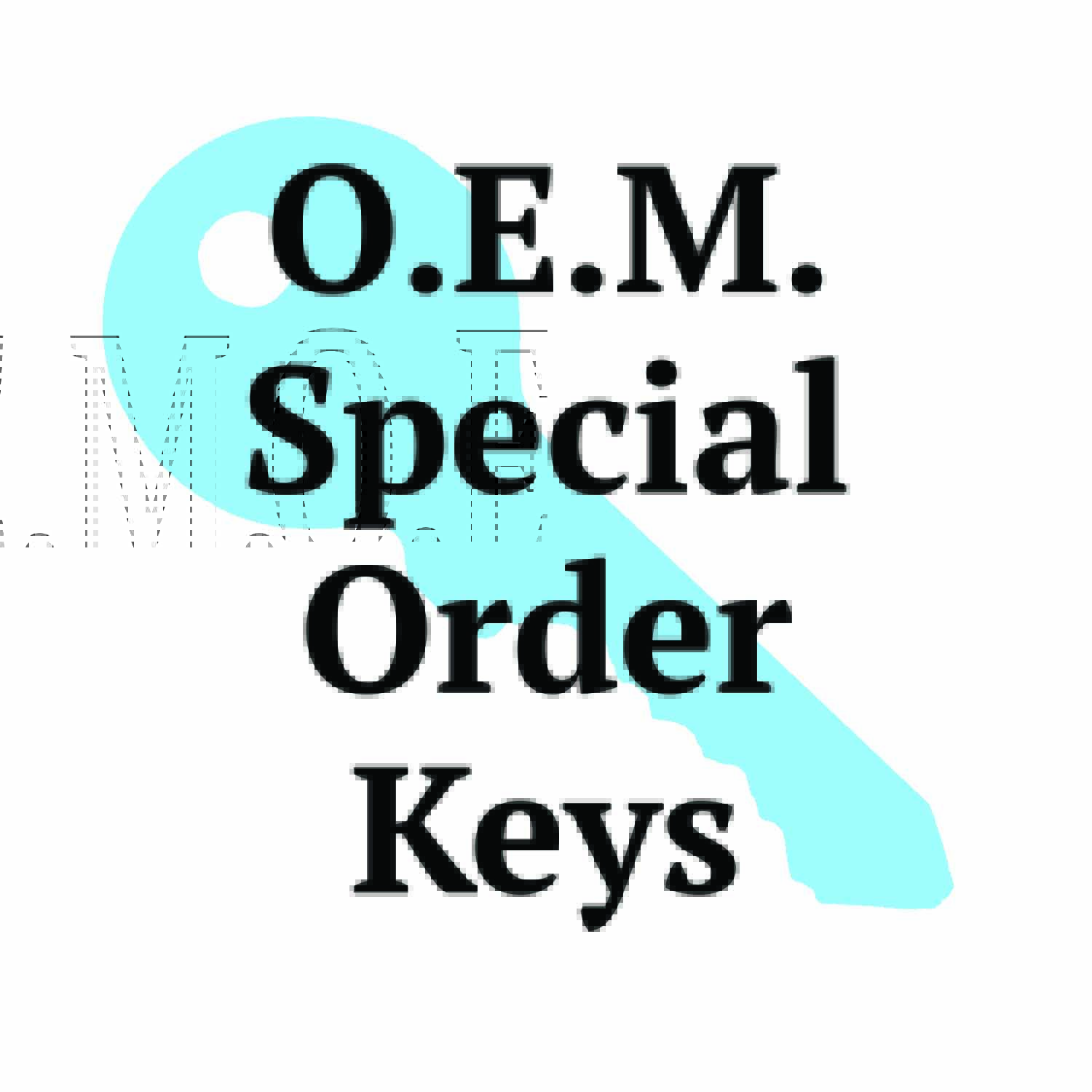 Special order OEM BMW Emergency Blade